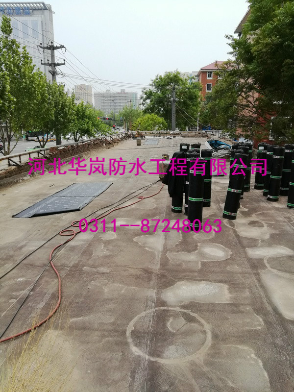 IMG_20180430_174255.jpg