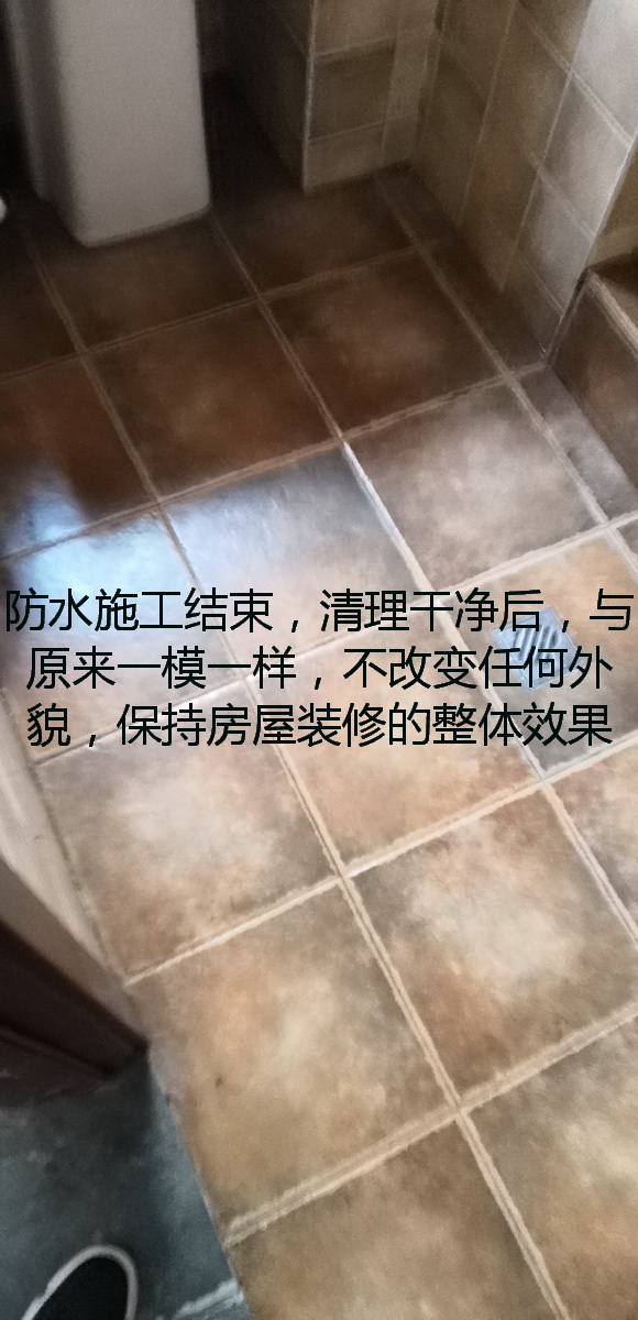 wx_camera_1548298227047.jpg